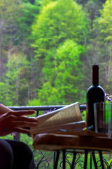 Cozy Retreat: Man Reading with Wine in Room Overlooking Nature