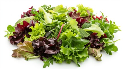 Mixed salad leaves isolated on white background