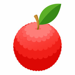 A fresh Lychee on White Background