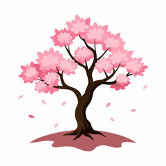Cherry blossom tree on ground on white background