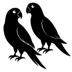 Couple parrot vector silhouette