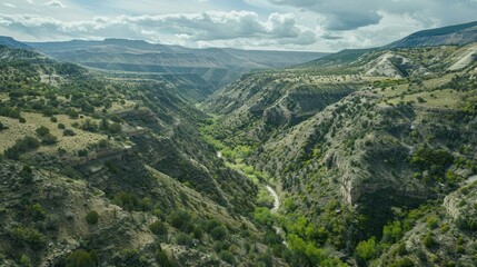 Fototapeta premium Aerial View of a Lush Mountain Valley