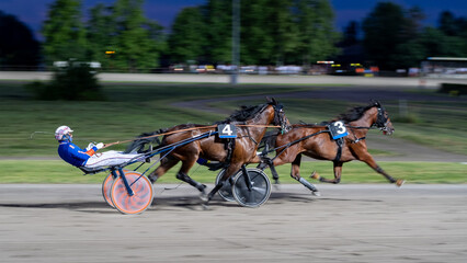 Trotting racehorses and rider on a stadium track. Competitions for trotting horse racing. Horses...