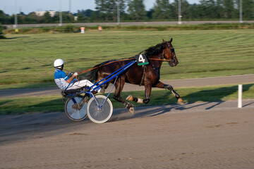 Trotting racehorses and rider on a stadium track. Competitions for trotting horse racing. Horses compete in harness racing. Horse running on the track with the rider at sunset.
