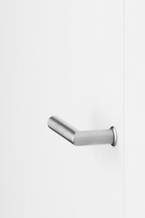 Modern Home with Pool, Designer Features, and Lush Greenery