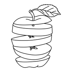 Fresh chopped apple flying in the air. Slice of fresh apple line art drawing coloring page Cross section of cut apple, slices fruit black and white vector illustration. Hand drawn doodle style.