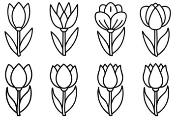 Tulip flower line art Graceful pen renditions of tulips