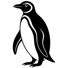 penguin vector illustration