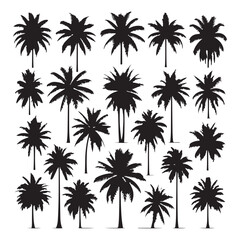Set of palm tree silhouettes isolated on a white background, Vector illustration.