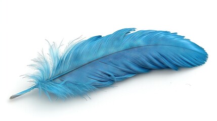   A focused image of a blue feather against a white backdrop, including a mirror reflection of the feather on its reverse side