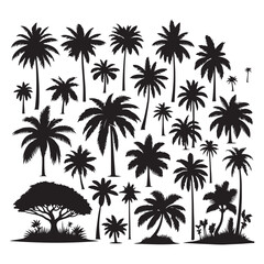 Set of palm tree silhouettes isolated on a white background, Vector illustration.