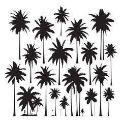 Naklejka premium Set of palm tree silhouettes isolated on a white background, Vector illustration.