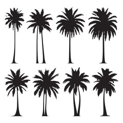 Obraz premium Set of palm tree silhouettes isolated on a white background, Vector illustration.