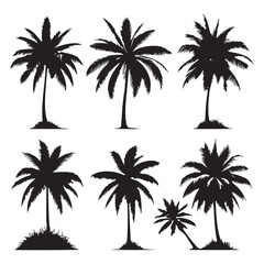 Set of palm tree silhouettes isolated on a white background, Vector illustration.