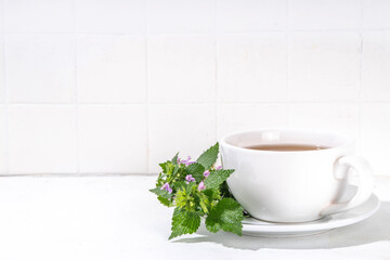 Deaf nettle herbal tea in white cup, with dead nettle sprig bunch and tea pot, copy space