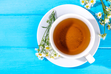 Herbal organic daisy camomile tea with fresh wild summer daisy chamomile flowers, in white cup, with teapot copy space
