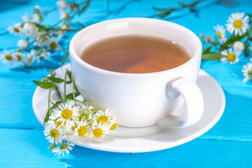 Herbal organic daisy camomile tea with fresh wild summer daisy chamomile flowers, in white cup, with teapot copy space