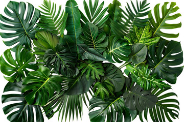 Tropical Green Leaves Collage Illustration