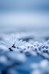 Falling snowflakes with large snowflake on snow