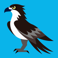 Osprey Bird Vector Graphic Natural Wildlife Design