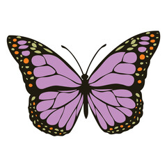 A five color butterfly illustration 3