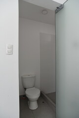 toilet in the bathroom