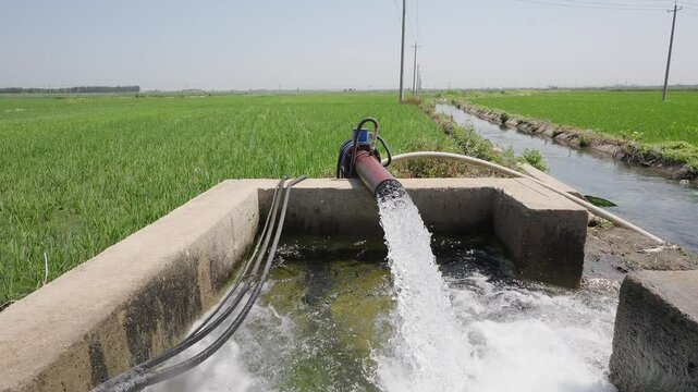 Water wells for paddy field irrigation in Northeast China