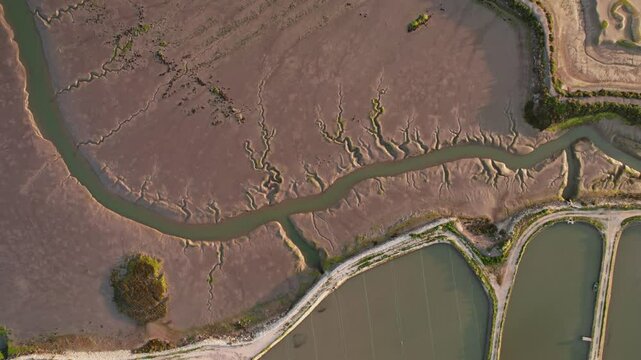 High angle shot capturing the winding path of a river through contrasting sunlit mudflats and vegetation.