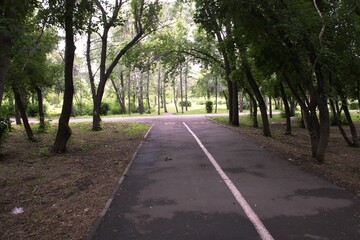 alley in the park