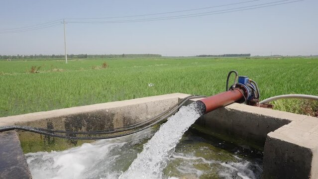 Water wells for paddy field irrigation in Northeast China