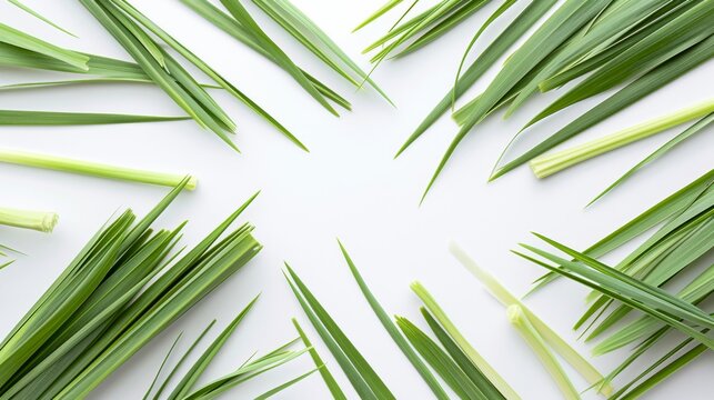 Flat lay of fresh lemongrass leaves on a white background