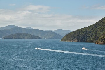 Obraz premium Calm Sea Bay wit Boats, Picton, New Zealand