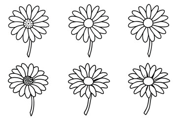 Daisy flower line art Detailed daisy outlines with artistic flair