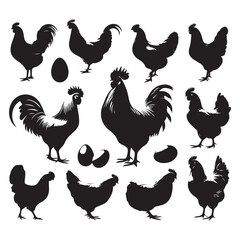 Set of Chicken silhouettes isolated on a white background, Vector illustration.