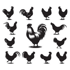 Set of Chicken silhouettes isolated on a white background, Vector illustration.