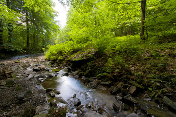 Górski strumień, Jaszowiec, Ustroń © Jarosław