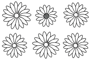 Daisy flower line art Minimalist daisy sketches in detail