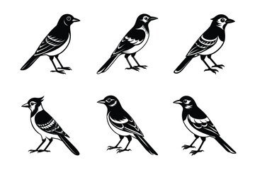 Jay bird black silhouette vector art illustration bundle set.