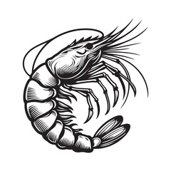 New shrimp fish silhouette vector and logo style with white background and coloring book 