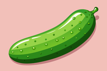 cucumber vector illustration