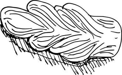 Drawing of pastry products, desserts. Food menu design template. Hand drawn sketch vector illustration. The brioche
