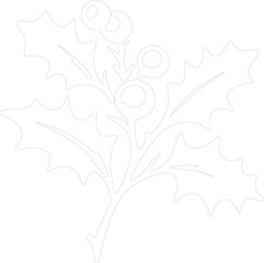 Fototapeta premium Holly outline