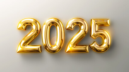 new 2025 year , goals and plan