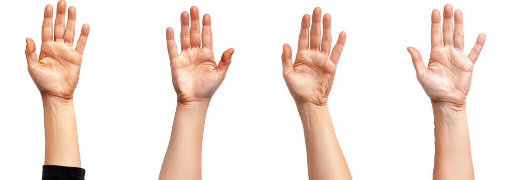 Hands, palms gesturing up, saying hi, greeting, hello, bye isolated on white
