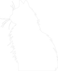 Obraz premium Nebelung Cat outline