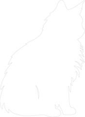 Obraz premium Norwegian Forest Cat outline