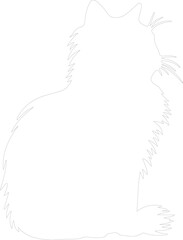 Persian Cat outline