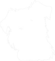 Obraz premium Affenpinscher outline