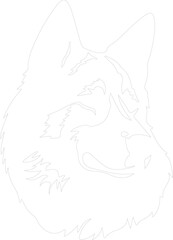 Akita outline