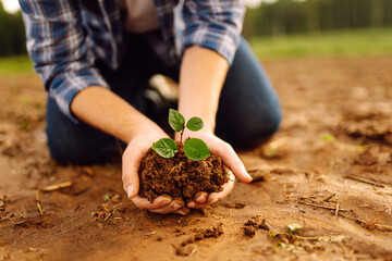 Man holds a green plant in his hands. In palms of farmer, sprout in fertile land. Agriculture concept. Agriculture, Grow food. Caring for environment.